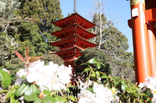 Jardín Japones Golden Gate Park
