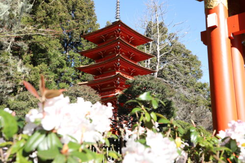 Jardín Japones Golden Gate Park