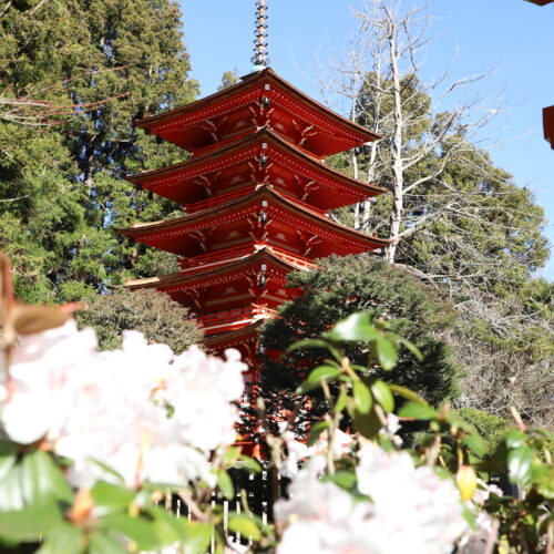 Jardín Japones Golden Gate Park